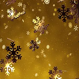 Kerst/Winter